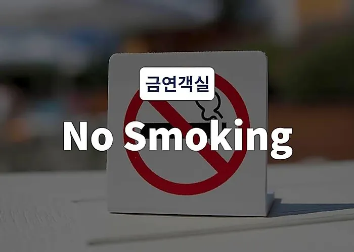 Hotel Goyang Hwajeong Vole